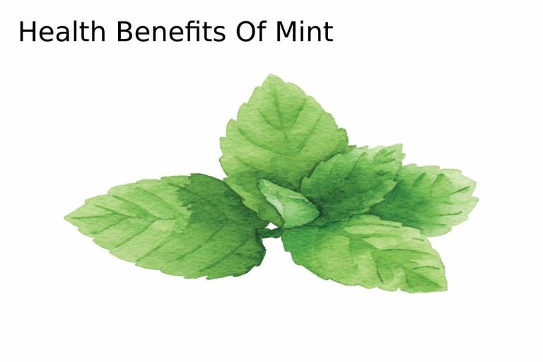 Health Benefits Of Mint