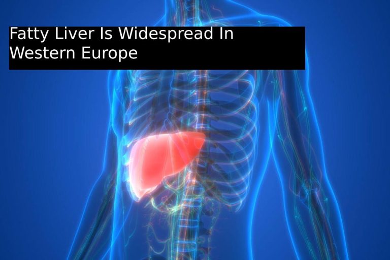 Fatty-Liver-Is-Widespread-In-Western-Europe
